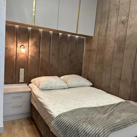 公寓 Golden Forest Apartment 华沙